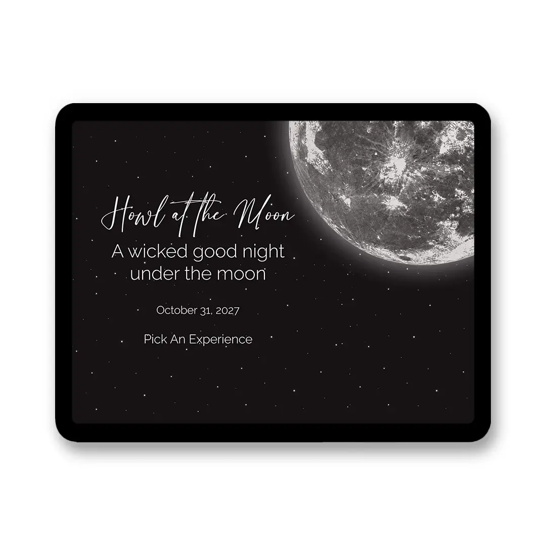 Moonlit Night