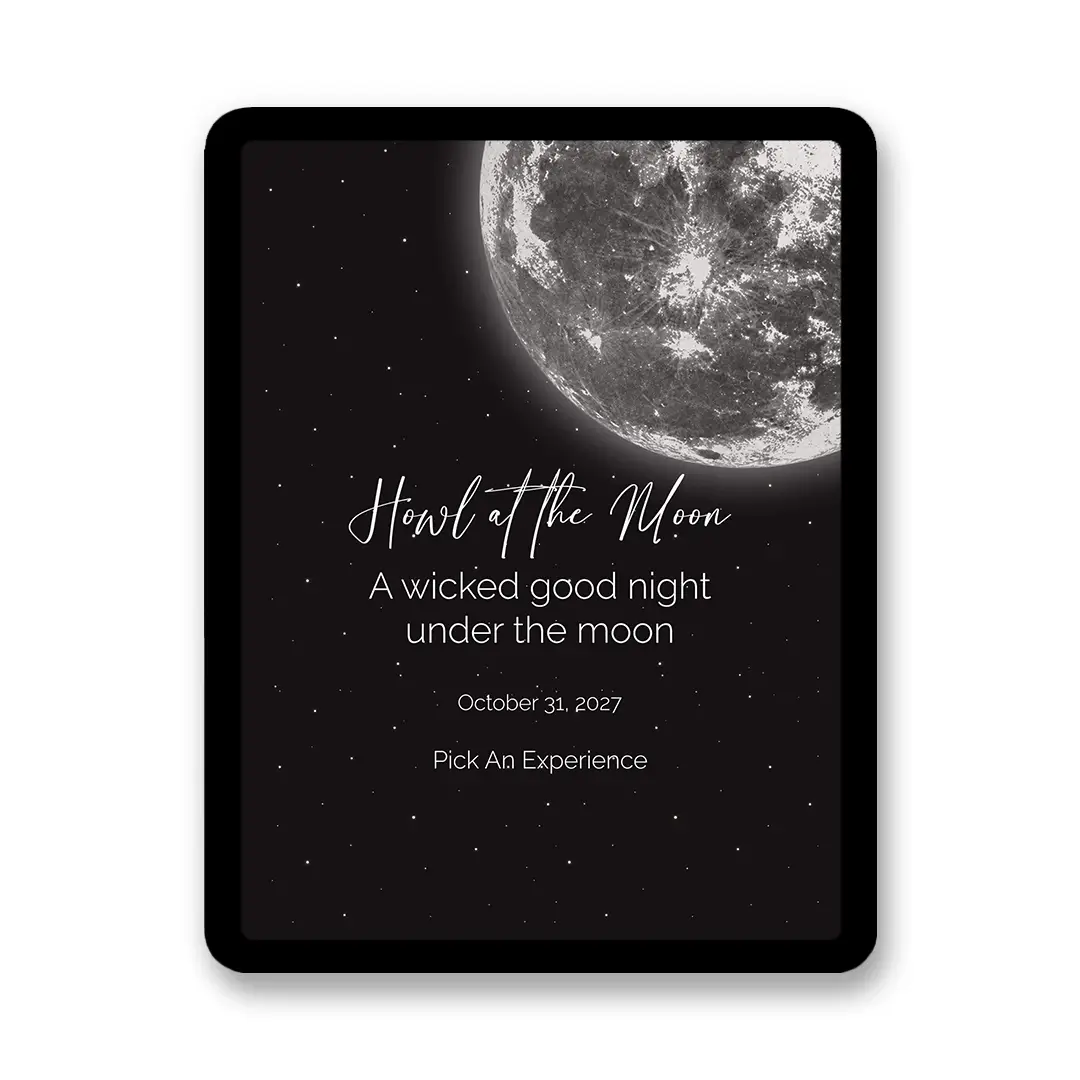 Moonlit Night