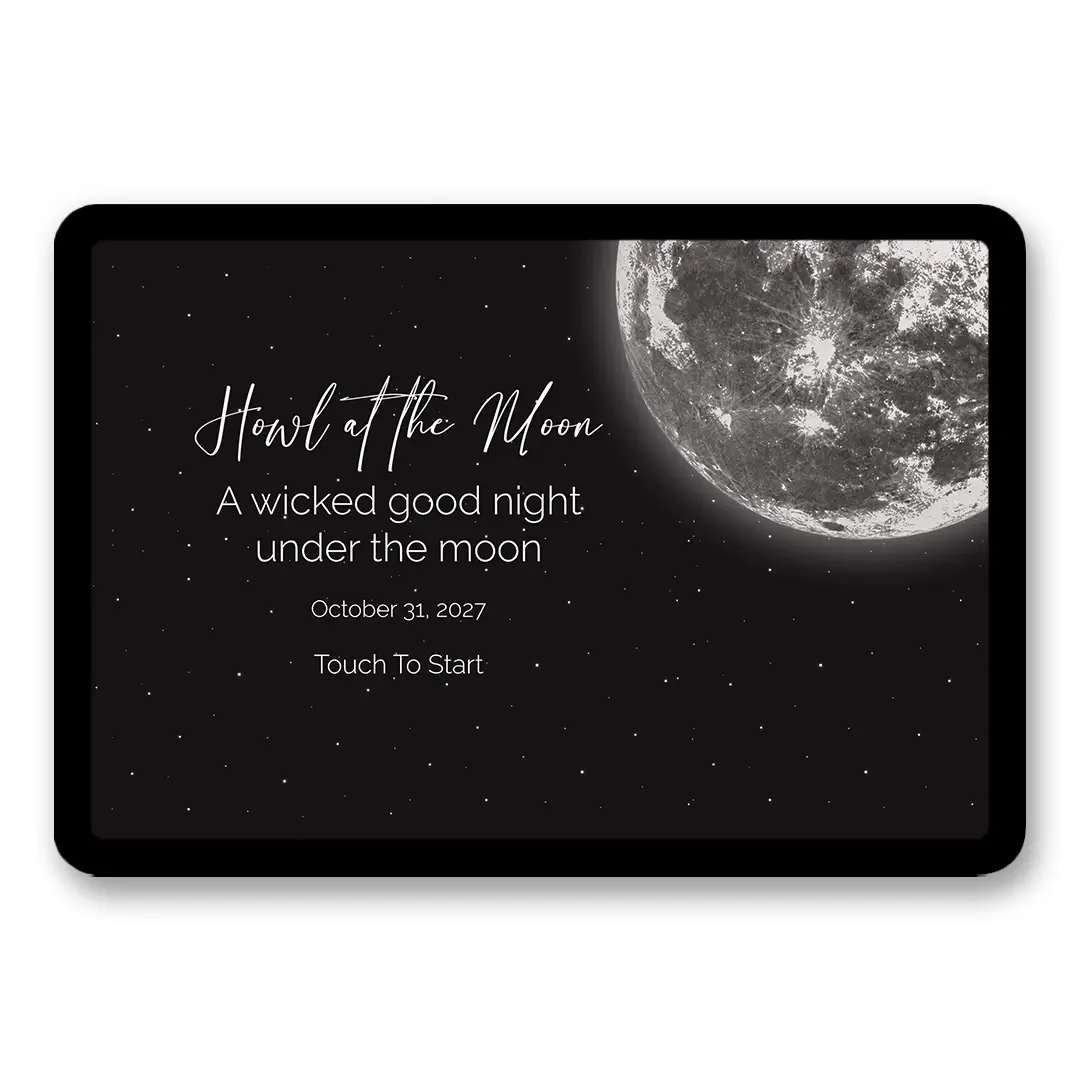 Moonlit Night
