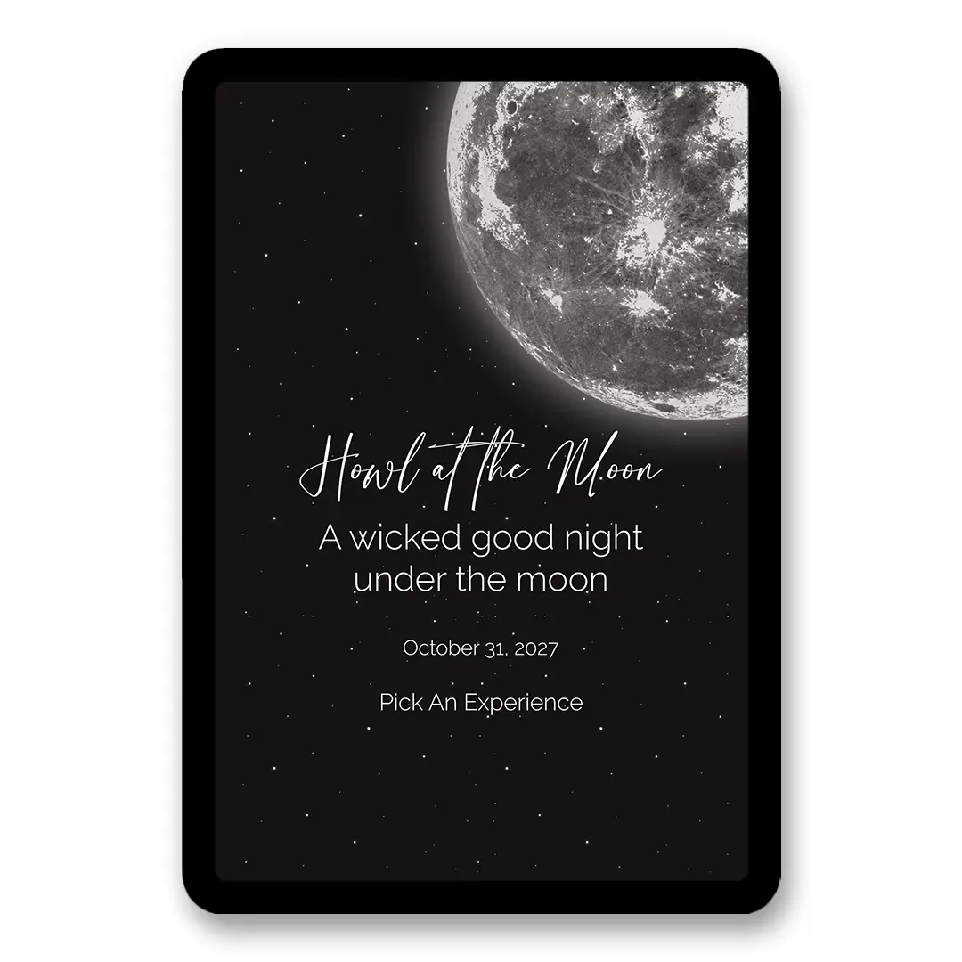 Moonlit Night